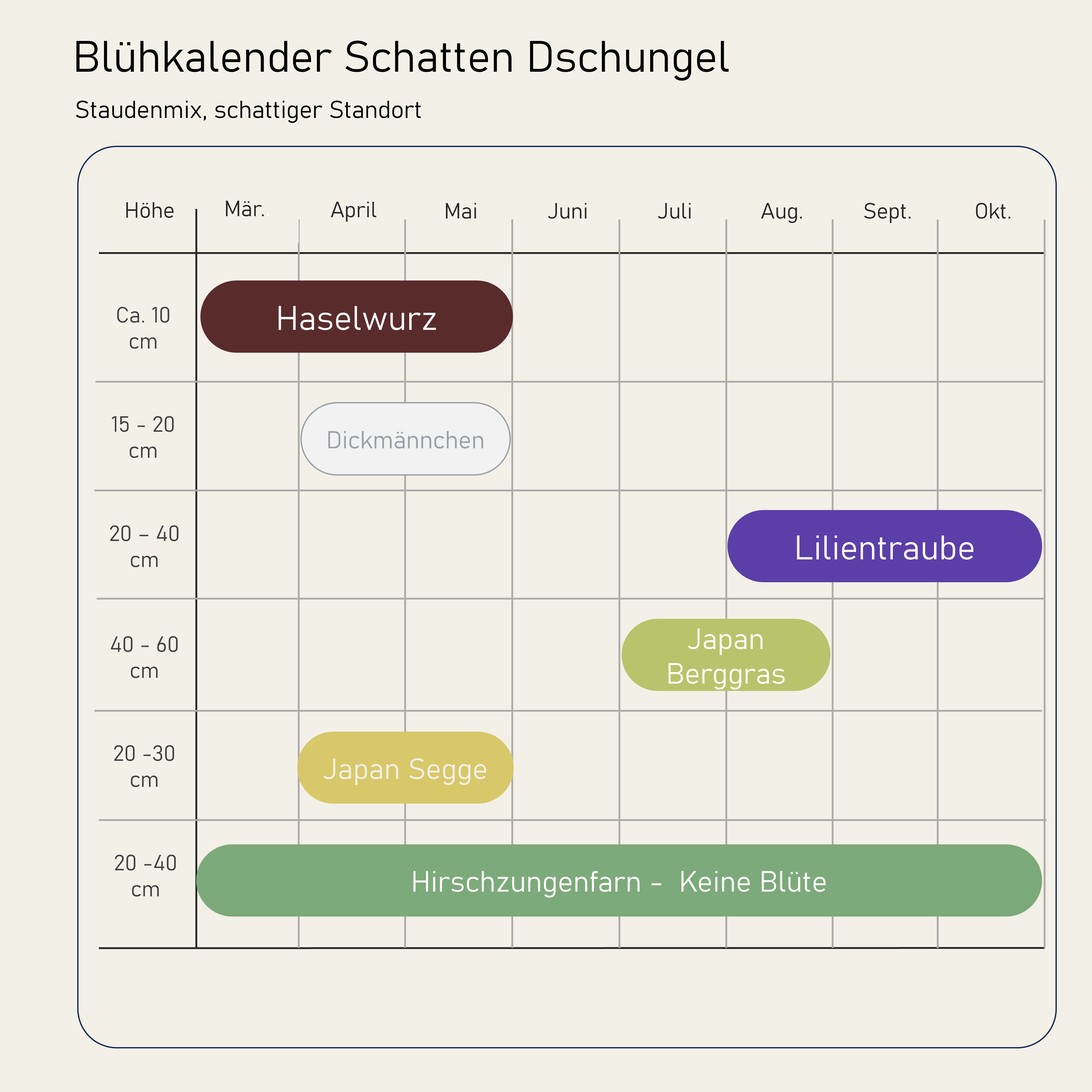 Staudenbeet Schatten Dschungel - Pflanzenpaket für Schatten - 36 Pflanzen - Größe L - Luna's Leaf Co.