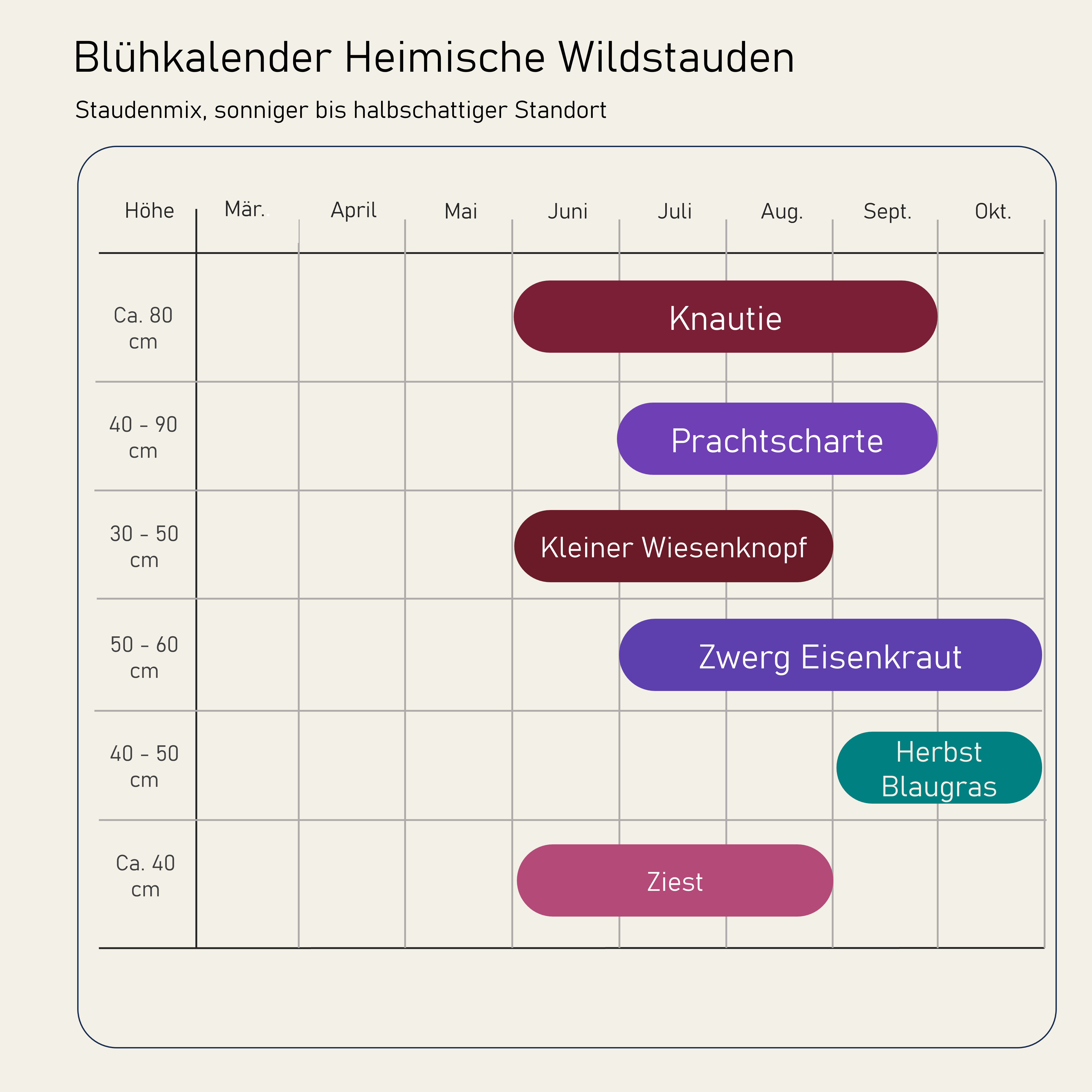 Staudenbeet Heimische Wildstauden - Pflanzenpaket für Sonne bis Halbschatten - 36 Pflanzen - Größe L
