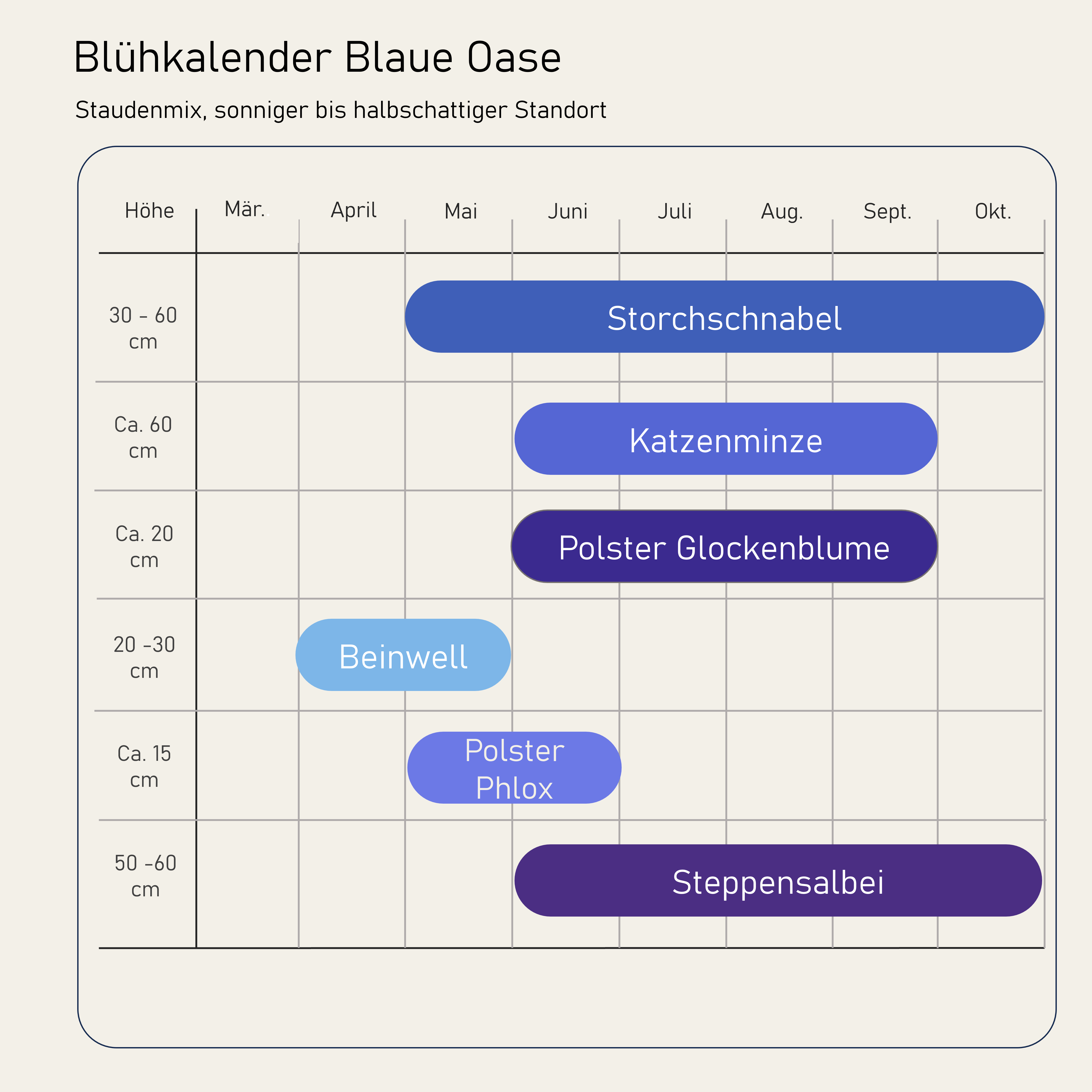 Staudenbeet Blaue Oase - Pflanzenpaket für Sonne bis Halbschatten - 36 Pflanzen - Größe L
