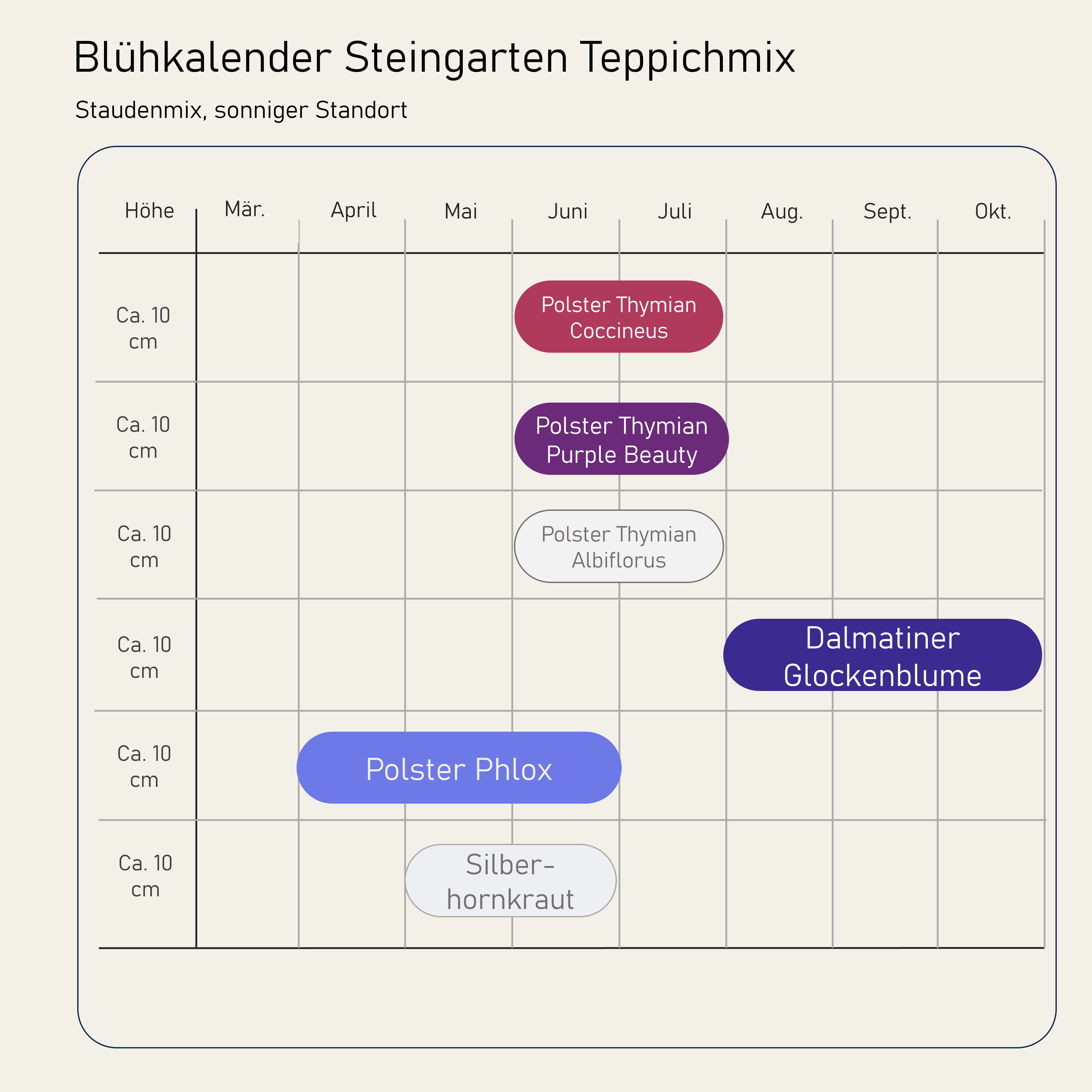 Staudenbeet Steingarten-Teppich - Pflanzenpaket für Sonne - 36 Pflanzen - Größe L