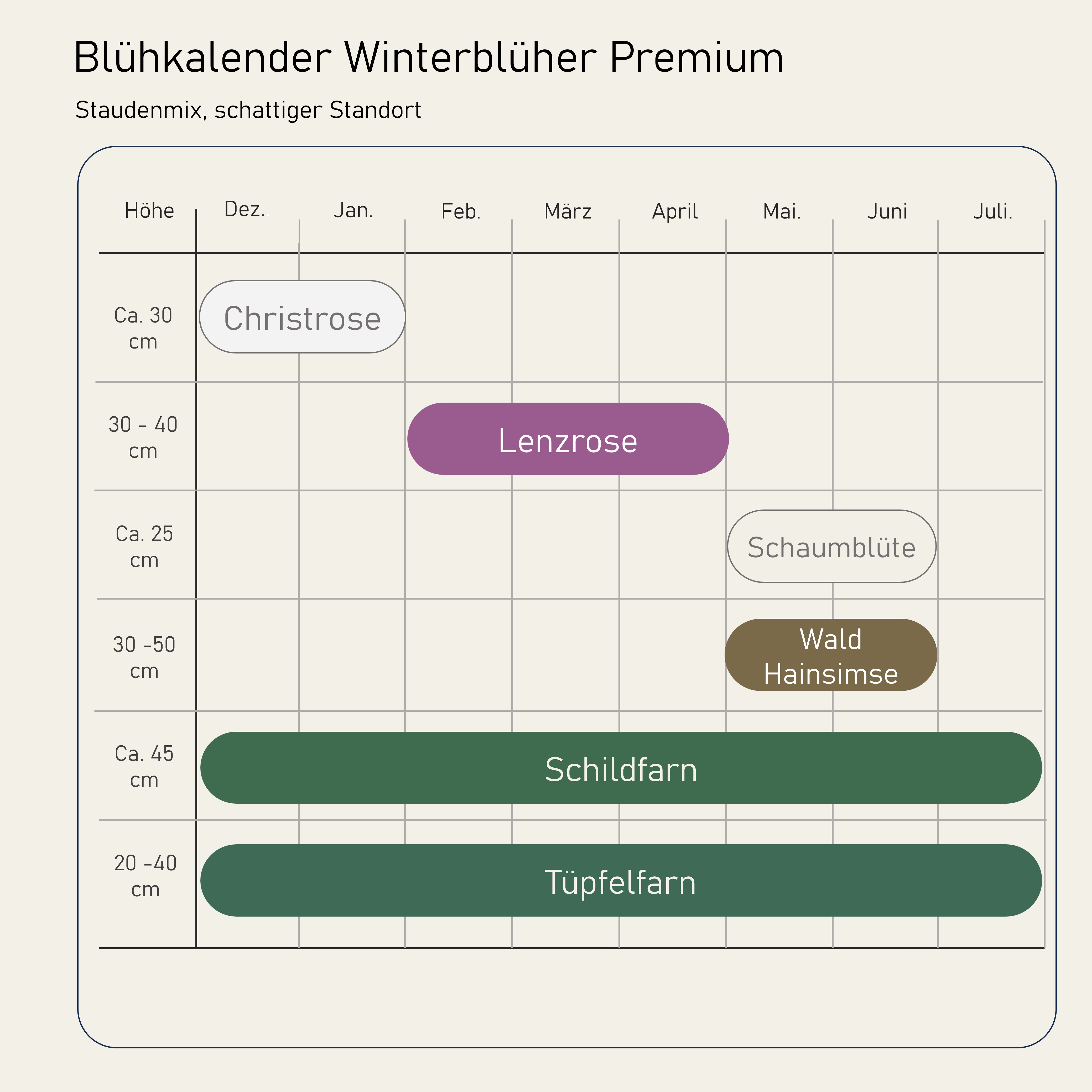 Staudenbeet Winterblüher Premium - Pflanzenpaket für Schatten - 36 Pflanzen - Größe L