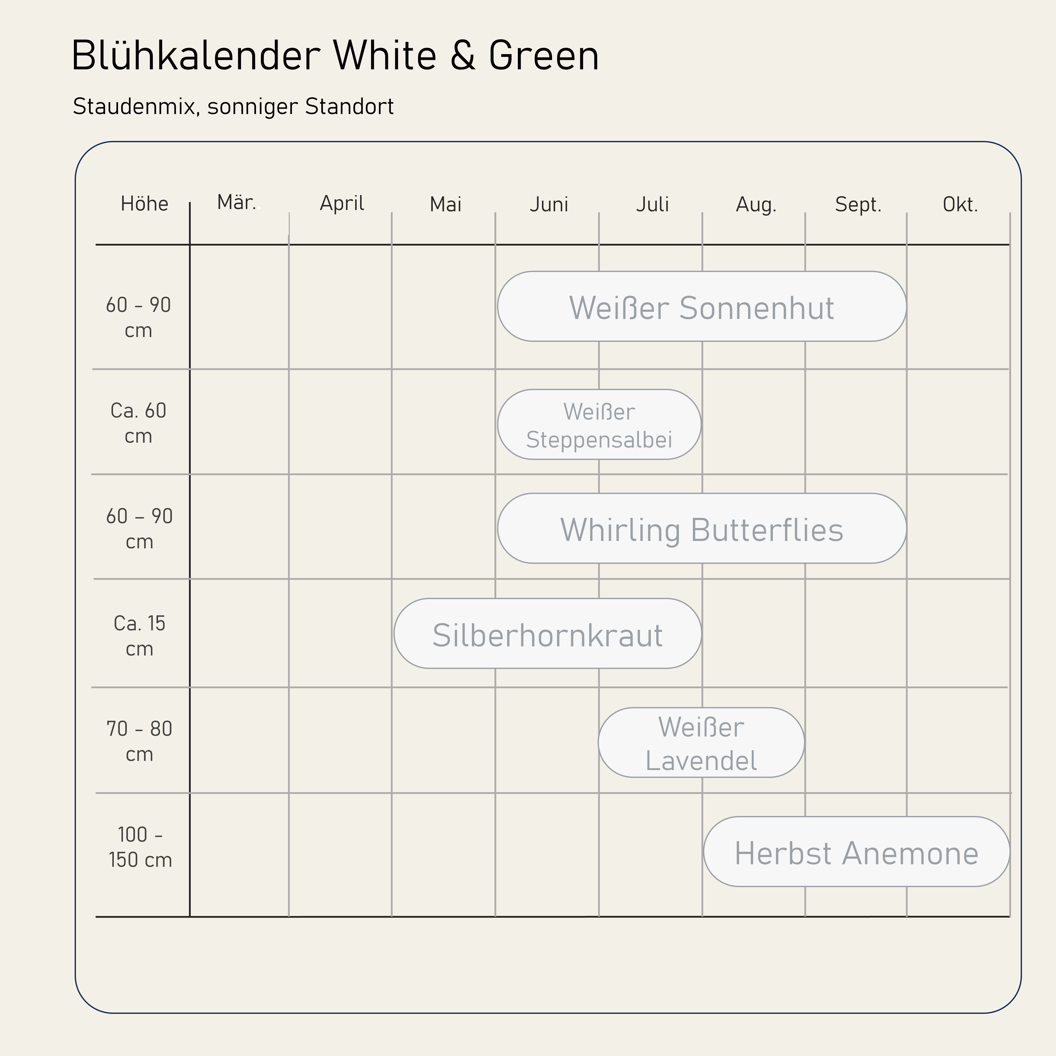 Staudenbeet White & Green - Pflanzenpaket für Sonne bis Halbschatten - 36 Pflanzen - Größe L - Luna's Leaf Co.