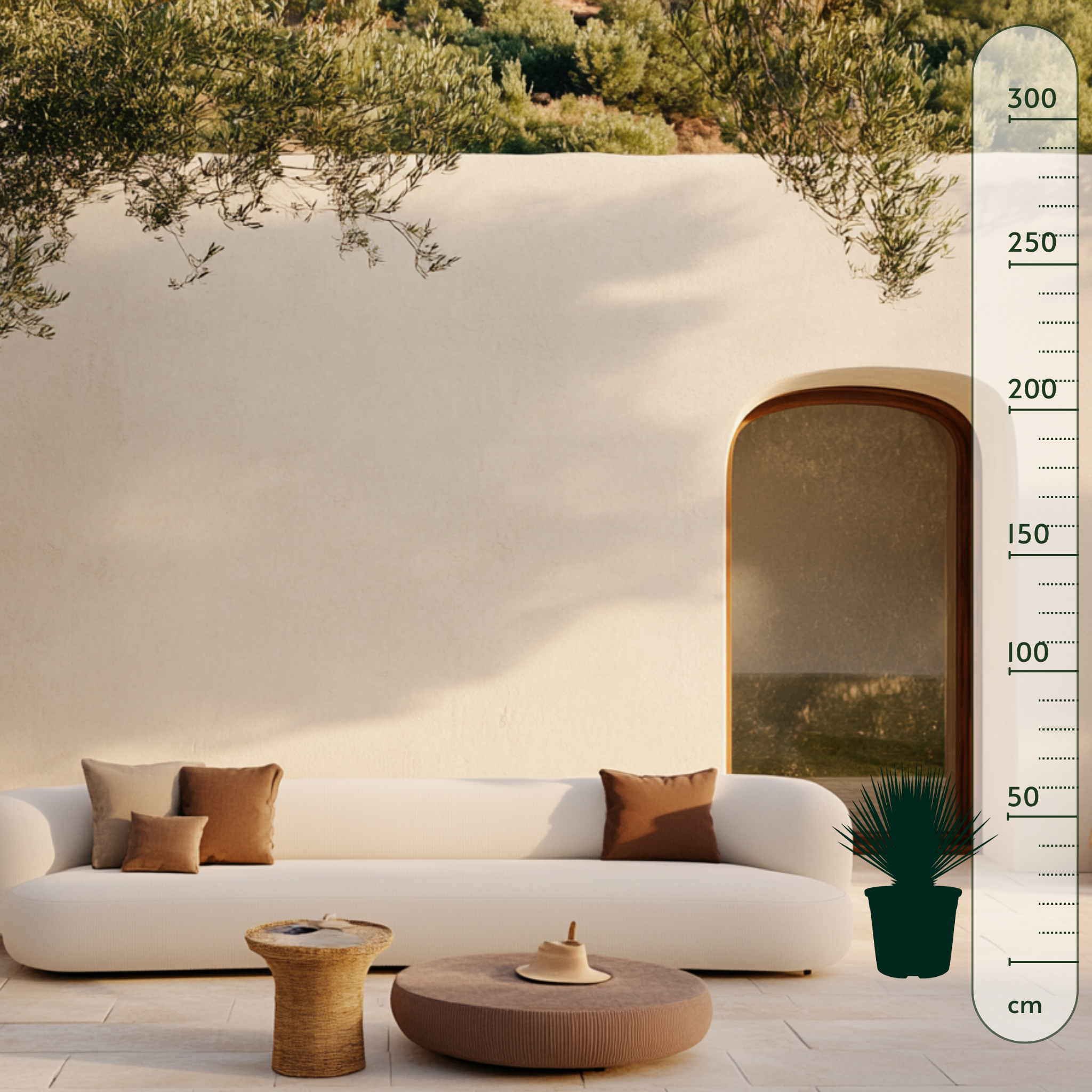 Kerzen-Palmlilie – Yucca rostrata - 60 cm - ø24cm - Luna's Leaf Co.