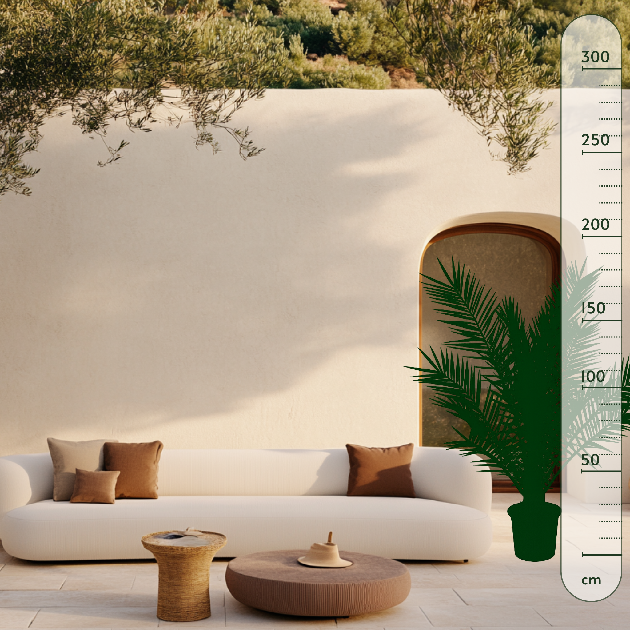 Phoenix Canariensis - 180cm- Ø25 - Luna's Leaf Co.