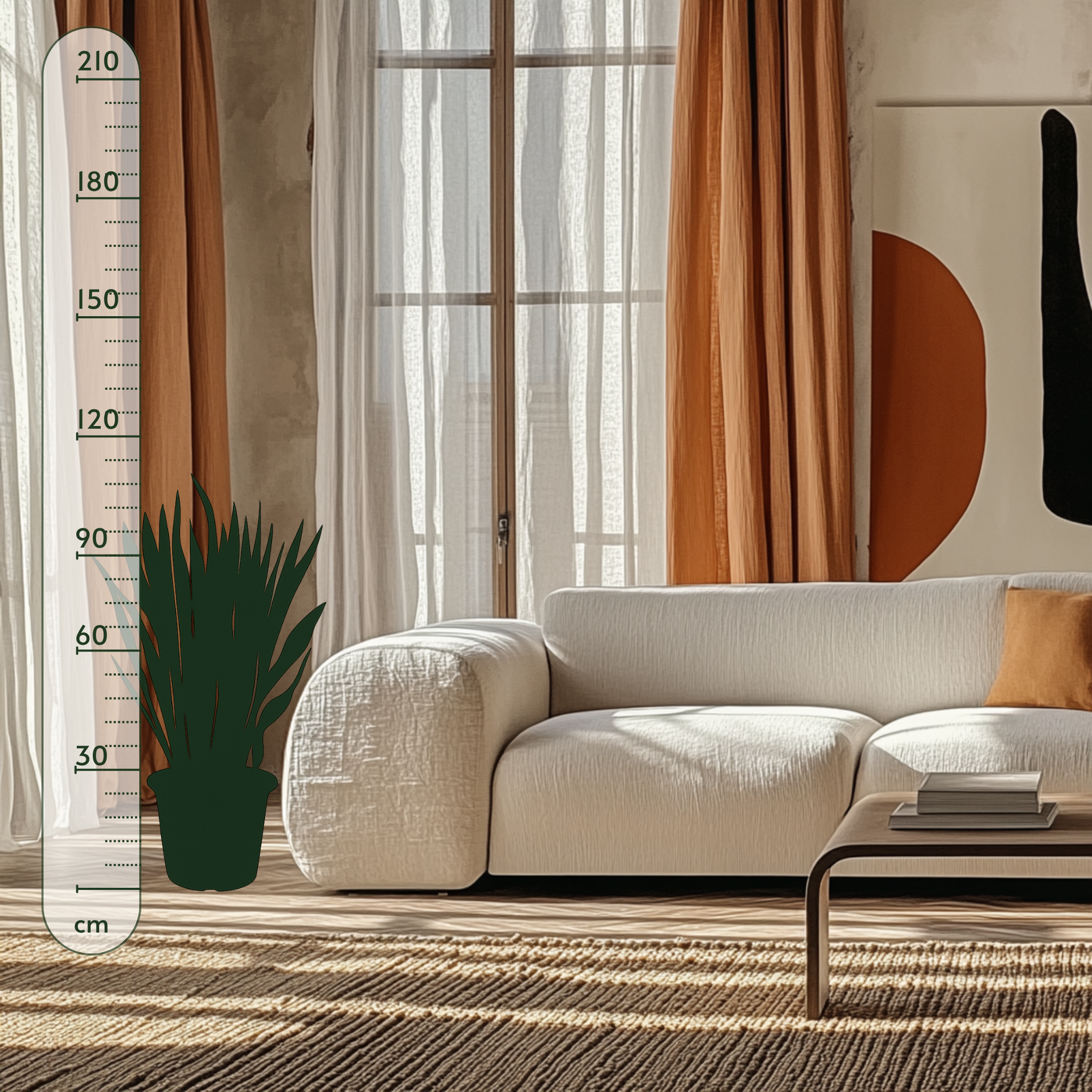 Sansevieria Laurentii - 100 cm - ø35 - Luna's Leaf Co.