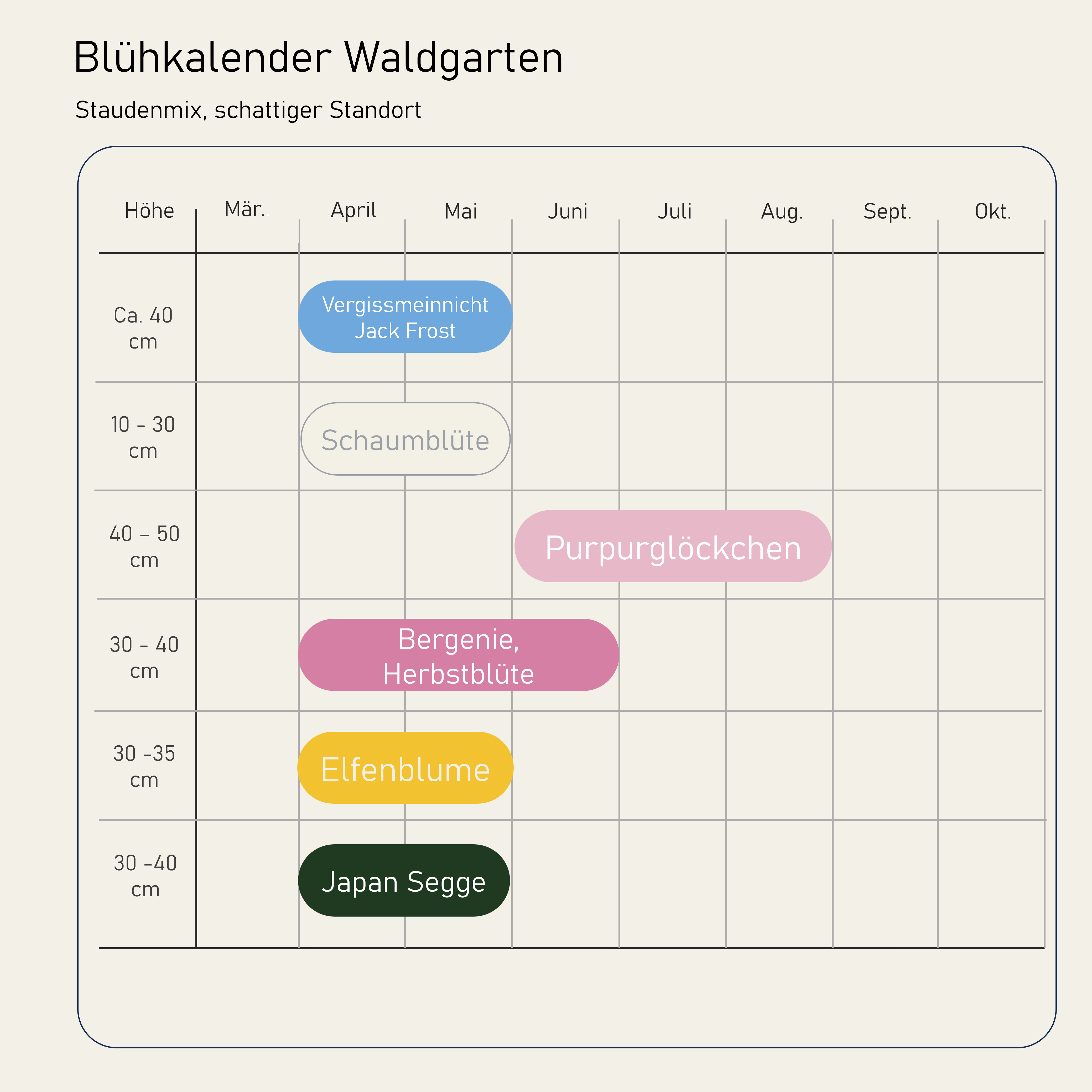 Staudenbeet Waldgarten - Pflanzenpaket für Schatten - 36 Pflanzen - Größe L - Luna's Leaf Co.