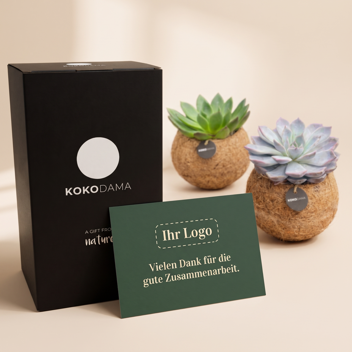 Kokodama Echeveria stehend 2er-Set Firmengeschenk: Personalisierbare Grußkarte mit Firmenlogo