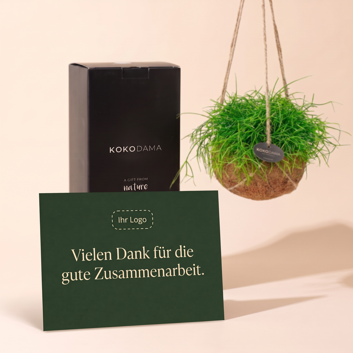 Kokodama Rhipsalis hängend Firmengeschenk: Personalisierbare Grußkarte mit Firmenlogo