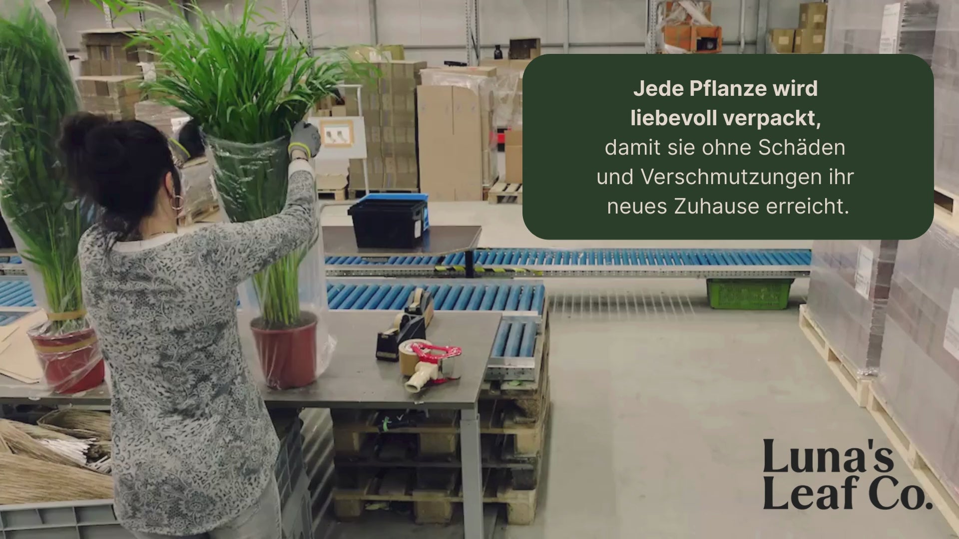 Video laden: