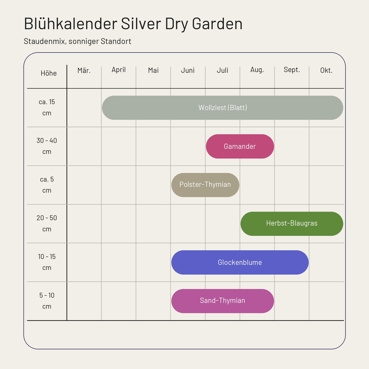 Blühkalender Staudenbeet Silver Dry Garden