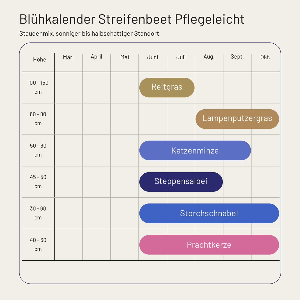 Blühkalender Staudenbeet Streifenbeet Pflegeleicht