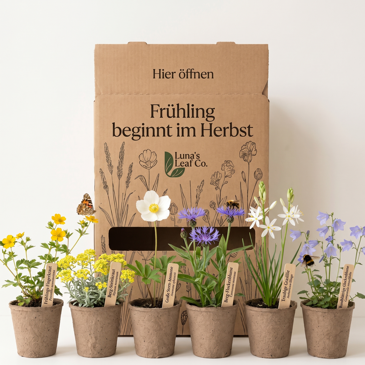 Staudenbeet Frühling beginnt im Herbst - 36 Pflanzen - Größe L