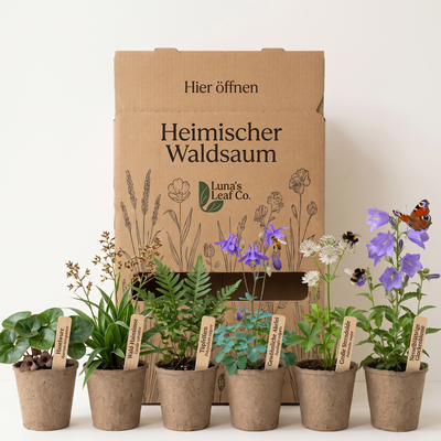 Staudenbeet Heimischer Waldsaum - 72 Pflanzen - Größe XL