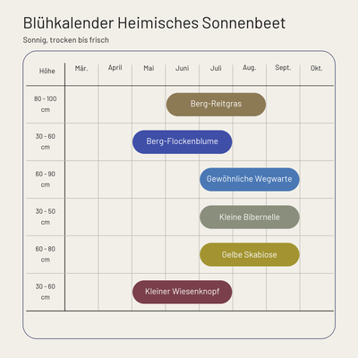 Staudenbeet Heimisches Sonnenbeet - 72 Pflanzen - Größe XL