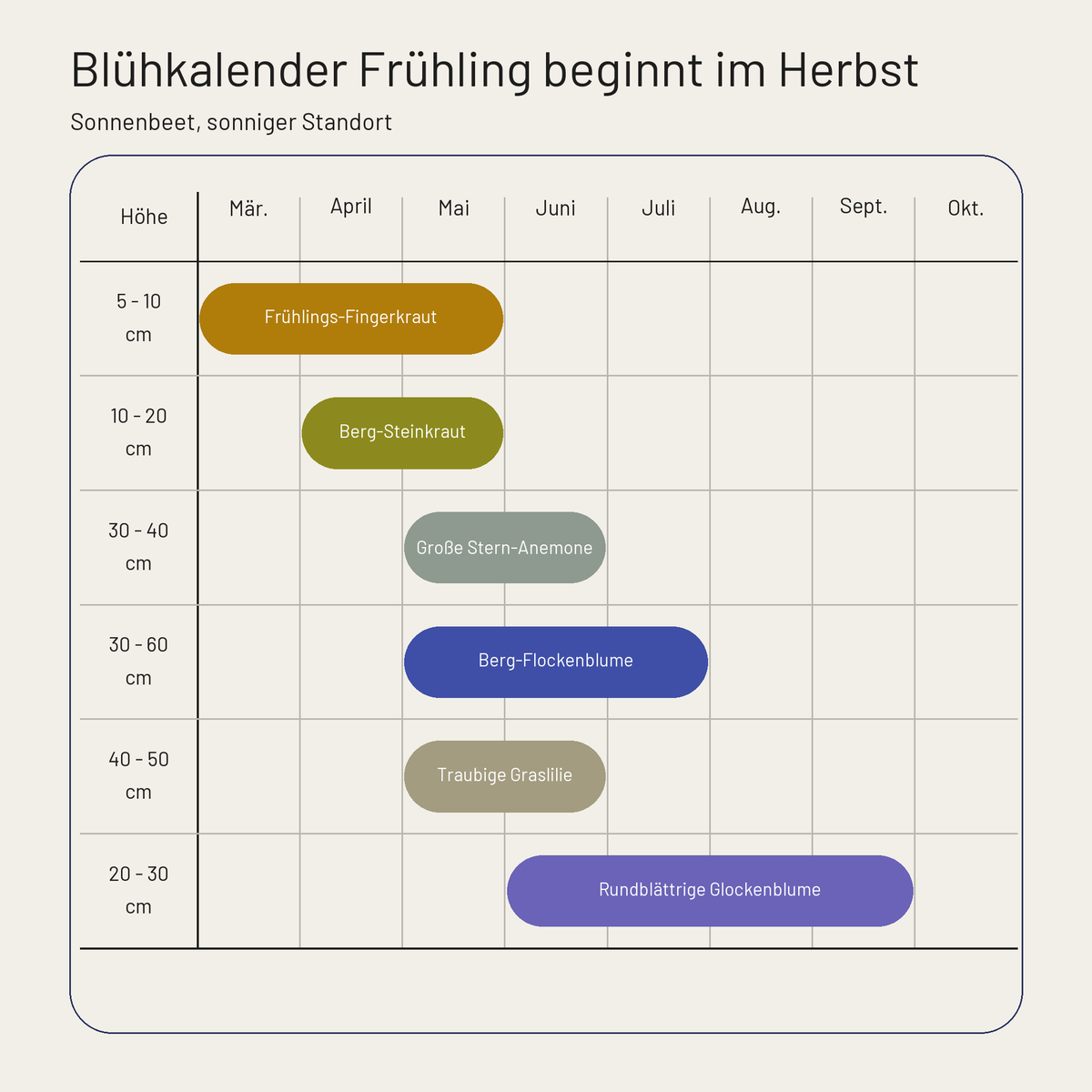 Staudenbeet Frühling beginnt im Herbst - 72 Pflanzen - Größe XL