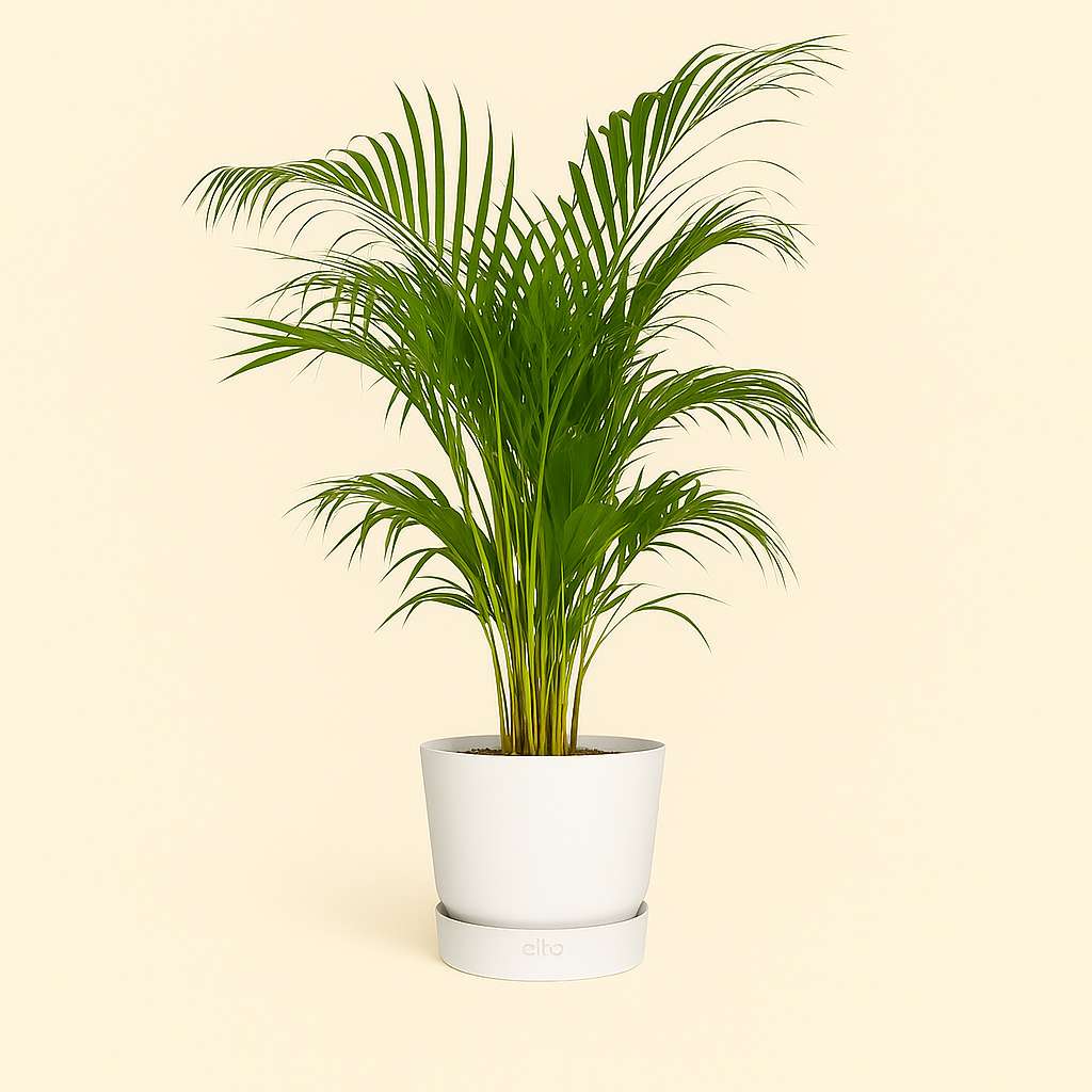 elho Greenville Rundtopf weiß – XL – Ø39 cm, Höhe 37 cm - Luna's Leaf Co. 