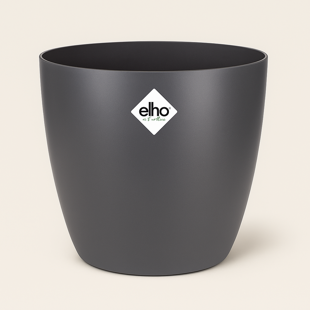 elho Brussels Rundtopf anthrazit – L – Ø30 cm, Höhe 27 cm - Luna's Leaf Co. 