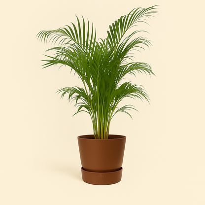 elho Greenville Rundtopf braun – L – Ø30 cm, Höhe 28 cm - Luna's Leaf Co. 
