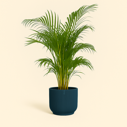 elho Vibes Fold Rundtopf blau – M – Ø25 cm, Höhe 23 cm - Luna's Leaf Co. 