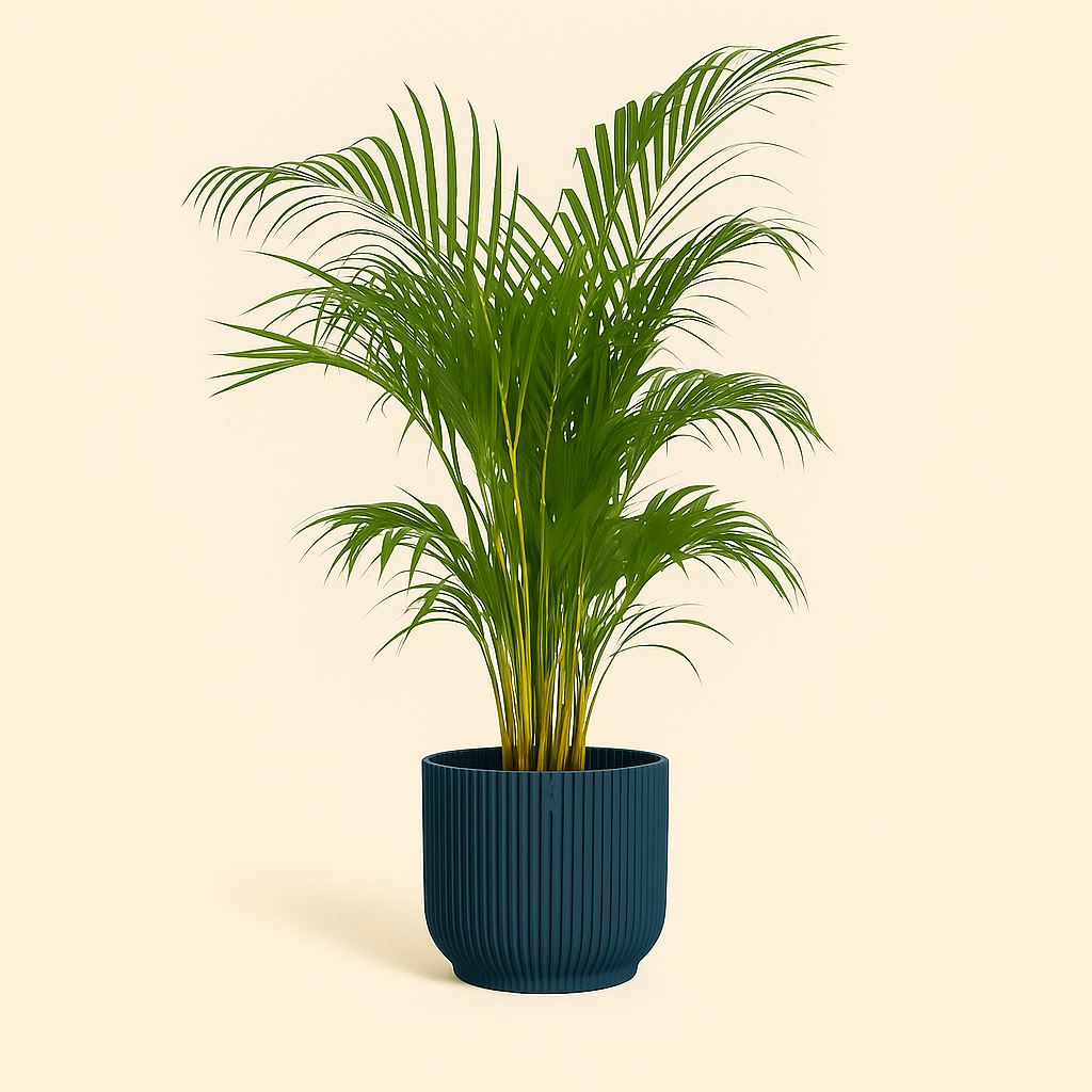elho Vibes Fold Rundtopf blau mit Rollen – L – Ø35 cm, Höhe 33 cm - Luna's Leaf Co. 