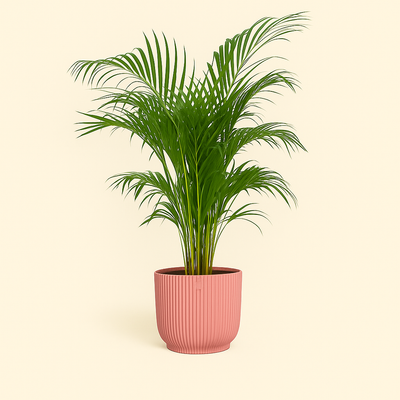 elho Vibes Fold Rundtopf rosa mit Rollen – L – Ø35 cm, Höhe 33 cm - Luna's Leaf Co. 
