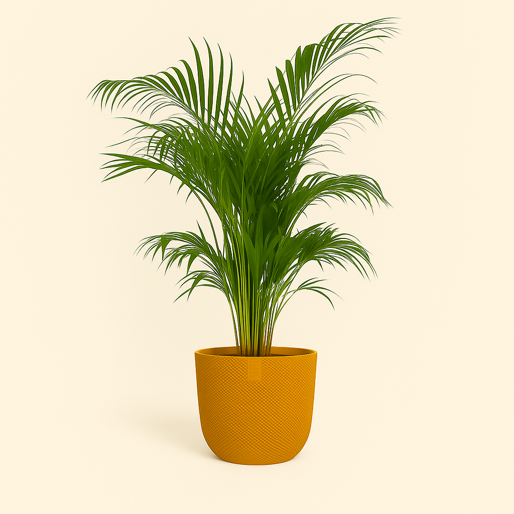 elho Jazz Rundtopf bernstein-gelb – M – Ø23 cm, Höhe 21 cm - Luna's Leaf Co. 