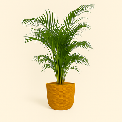 elho Jazz Rundtopf bernstein-gelb – M – Ø20 cm, Höhe 18 cm - Luna's Leaf Co. 