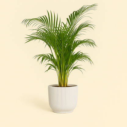 elho Vibes Fold Rundtopf weiß – M – Ø22 cm, Höhe 20 cm - Luna's Leaf Co. 