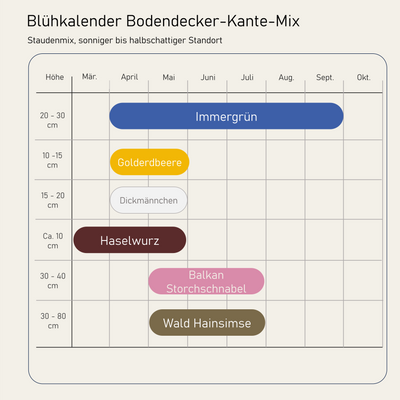 Staudenbeet Bodendecker-Kante-Mix - Pflanzenpaket für Halbschatten bis Schatten - 36 Pflanzen - Größe L