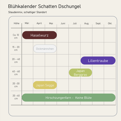Staudenbeet Schatten Dschungel - Pflanzenpaket für Schatten - 36 Pflanzen - Größe L - Luna's Leaf Co. 