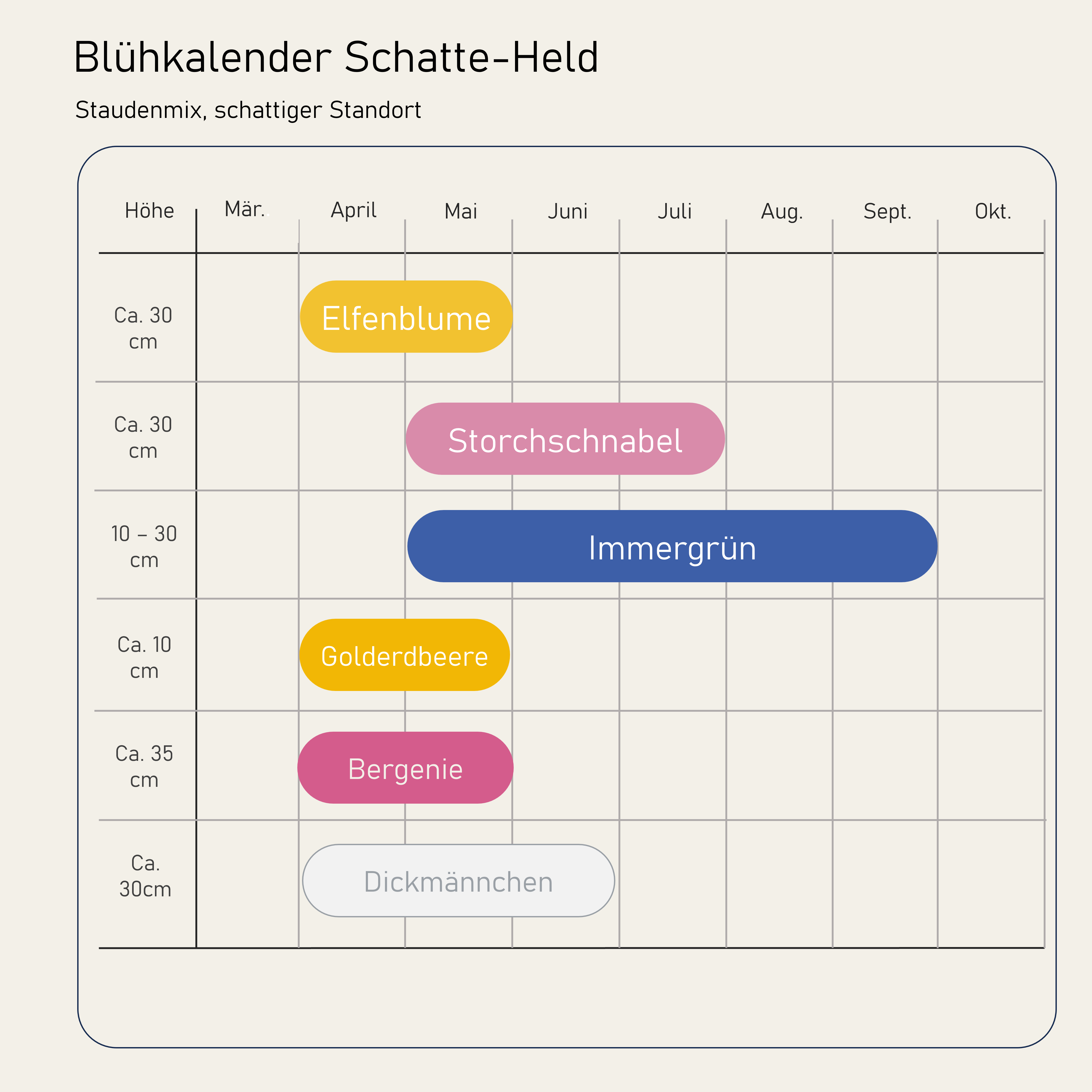 Staudenbeet Schatten-Held XL - Pflanzenpaket für Schatten - 72 Pflanzen - Größe XL