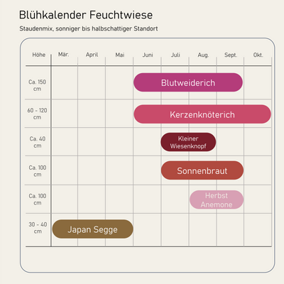 Staudenbeet Feuchtwiese - Pflanzenpaket für Sonne bis Halbschatten - 36 Pflanzen - Größe L - Luna's Leaf Co. 