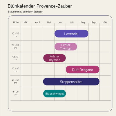 Staudenbeet Provence-Zauber XL - Pflanzenpaket für Sonne - 72 Pflanzen - Größe XL