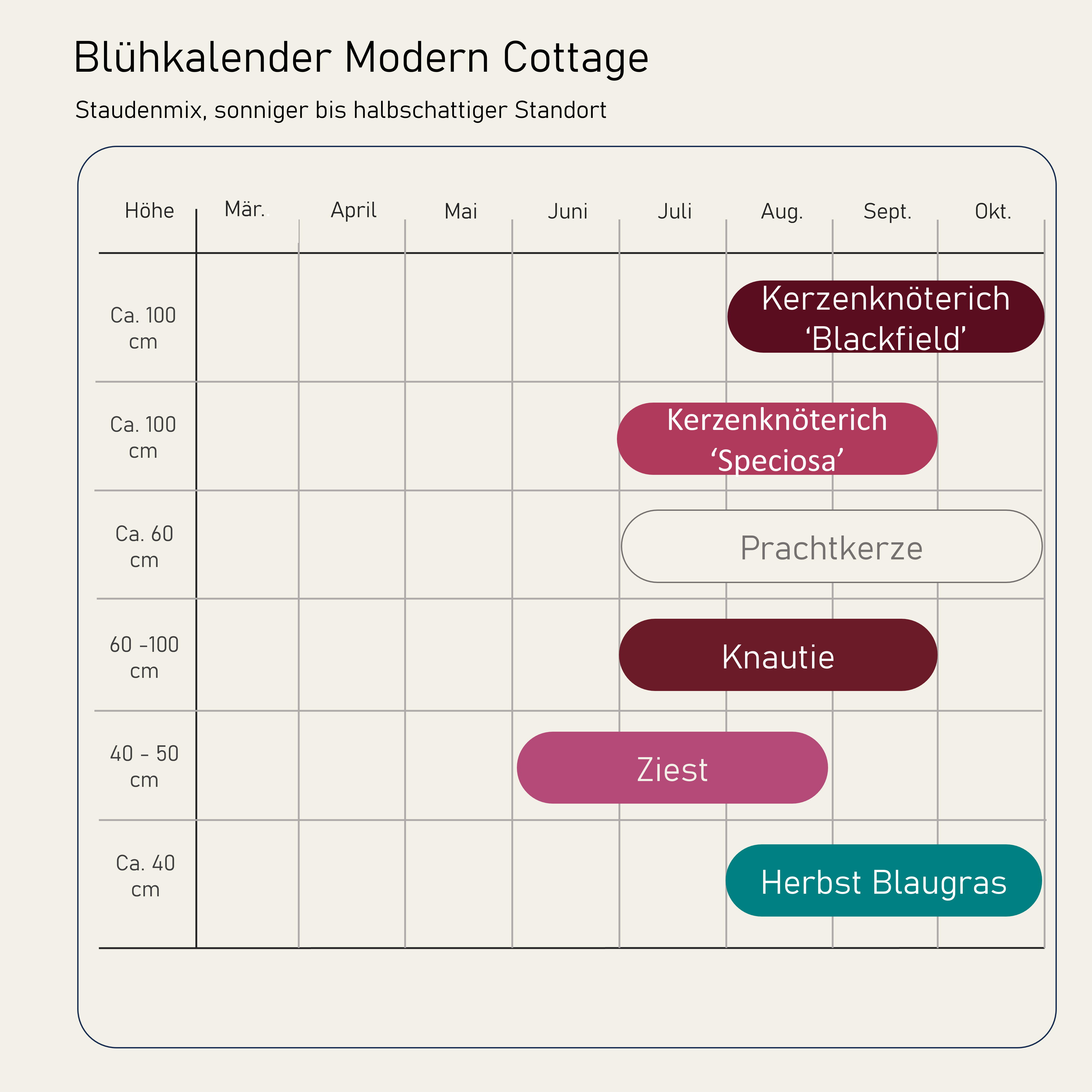Staudenbeet Modern Cottage - Pflanzenpaket für Sonne bis Halbschatten - 36 Pflanzen - Größe L