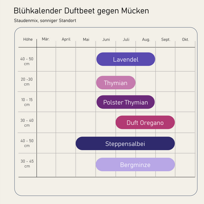 Staudenbeet Duftbeet gegen Mücken - Pflanzenpaket für Sonne - 36 Pflanzen - Größe L