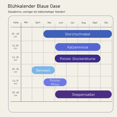 Staudenbeet Blaue Oase XL - Pflanzenpaket für Sonne bis Halbschatten - 72 Pflanzen - Größe XL
