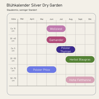 Staudenbeet Silver Dry Garden - Pflanzenpaket für Sonne - 36 Pflanzen - Größe L