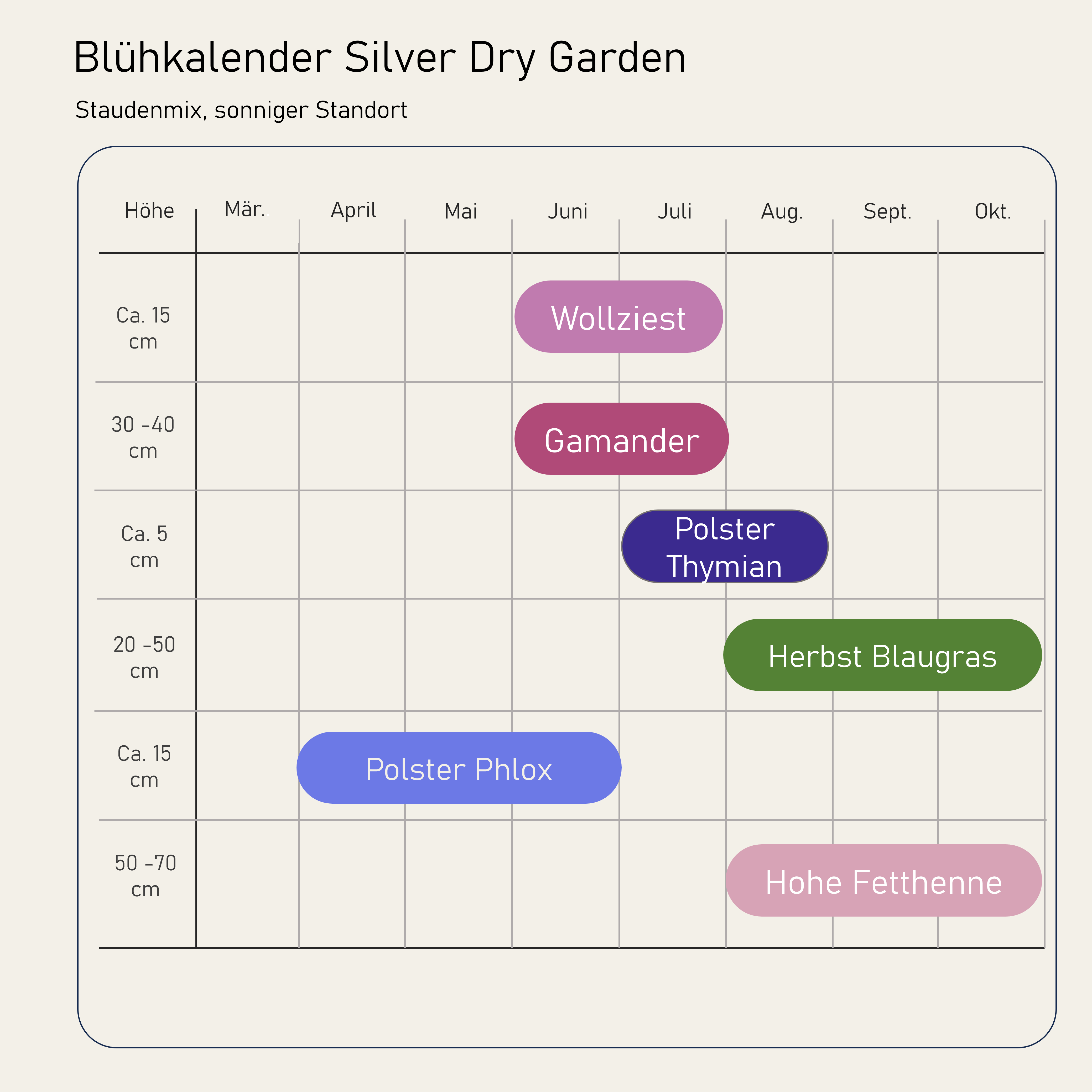 Staudenbeet Silver Dry Garden - Pflanzenpaket für Sonne - 36 Pflanzen - Größe L