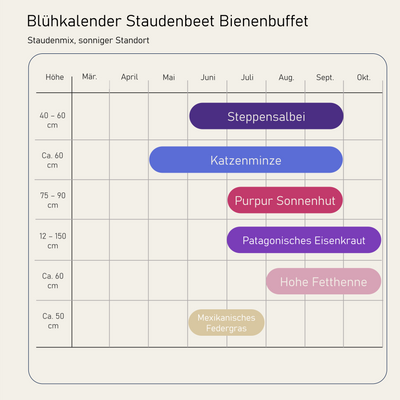 Staudenbeet Bienenbuffet - Pflanzenpaket für Sonne - 72 Pflanzen - Größe XL - Luna's Leaf Co. 