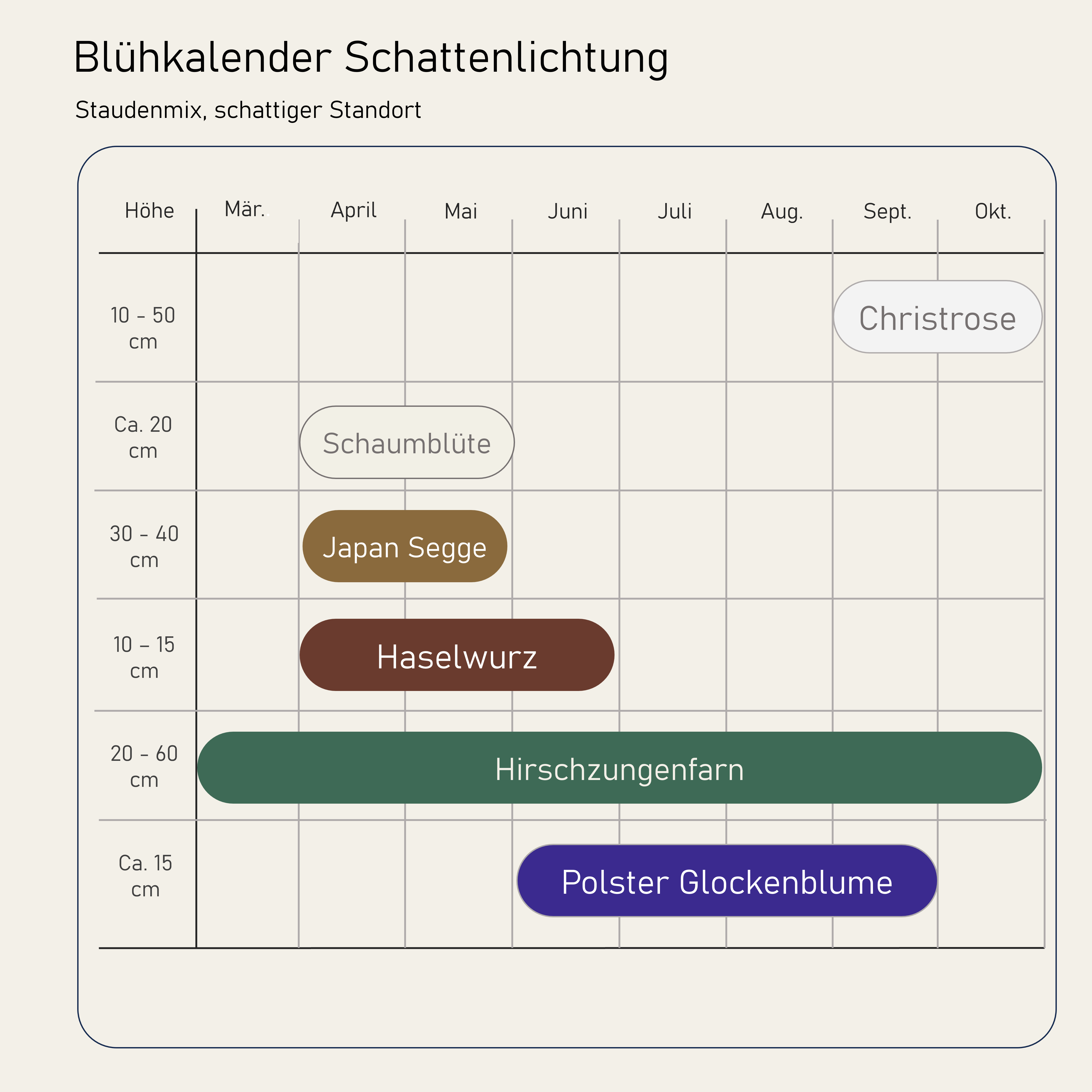 Staudenbeet Schattenlichtung XL - Pflanzenpaket für Schatten - 72 Pflanzen - Größe XL