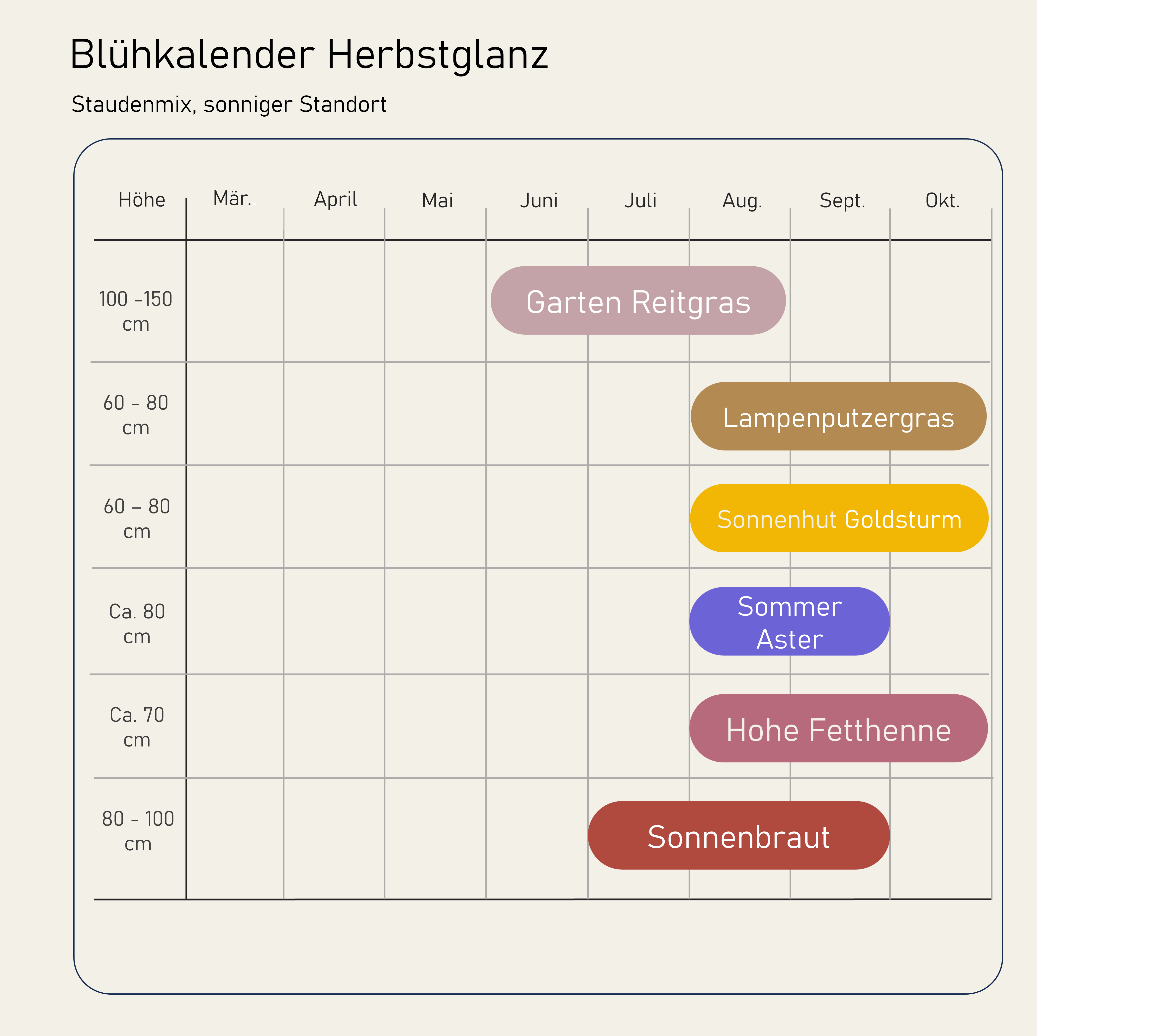 Staudenbeet Herbstglanz - Pflanzenpaket Spätblüher  - 36 Pflanzen - Größe L - Luna's Leaf Co. 