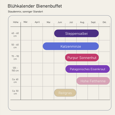 Staudenbeet Bienenbuffet - Pflanzenpaket für Sonne - 36 Pflanzen - Größe L