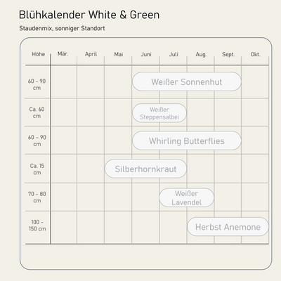 Staudenbeet White & Green - Pflanzenpaket für Sonne bis Halbschatten - 36 Pflanzen - Größe L - Luna's Leaf Co. 
