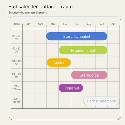 Staudenbeet Cottage-Traum - Pflanzenpaket für Halbschatten - 72 Pflanzen - Größe XL - Luna's Leaf Co. 