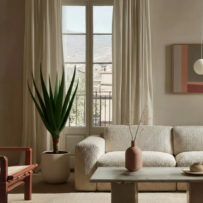 Aloe Barberae – Aloe barberae - 160 cm - Ø30cm - Luna's Leaf Co. 