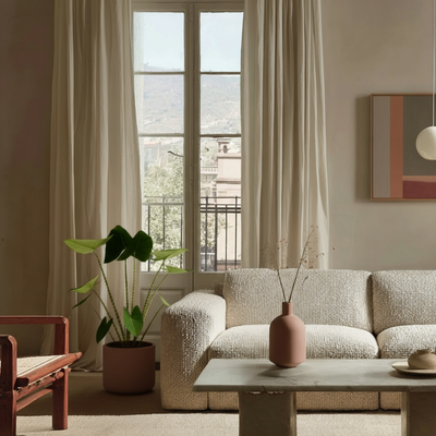 Pfeilblatt Zebrina – Alocasia zebrina - 80 cm - Ø21cm - Luna's Leaf Co. 