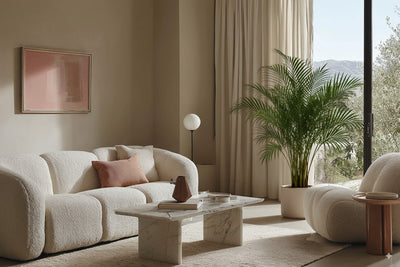 Areca Palme - Dypsis lutescens - 180 cm - ø27 - Luna's Leaf Co. 