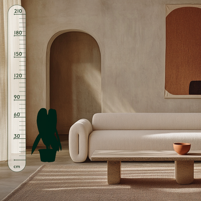 XXL-Premium Philodendron Melanochrysum - 75cm - Ø21cm - Luna's Leaf Co. 