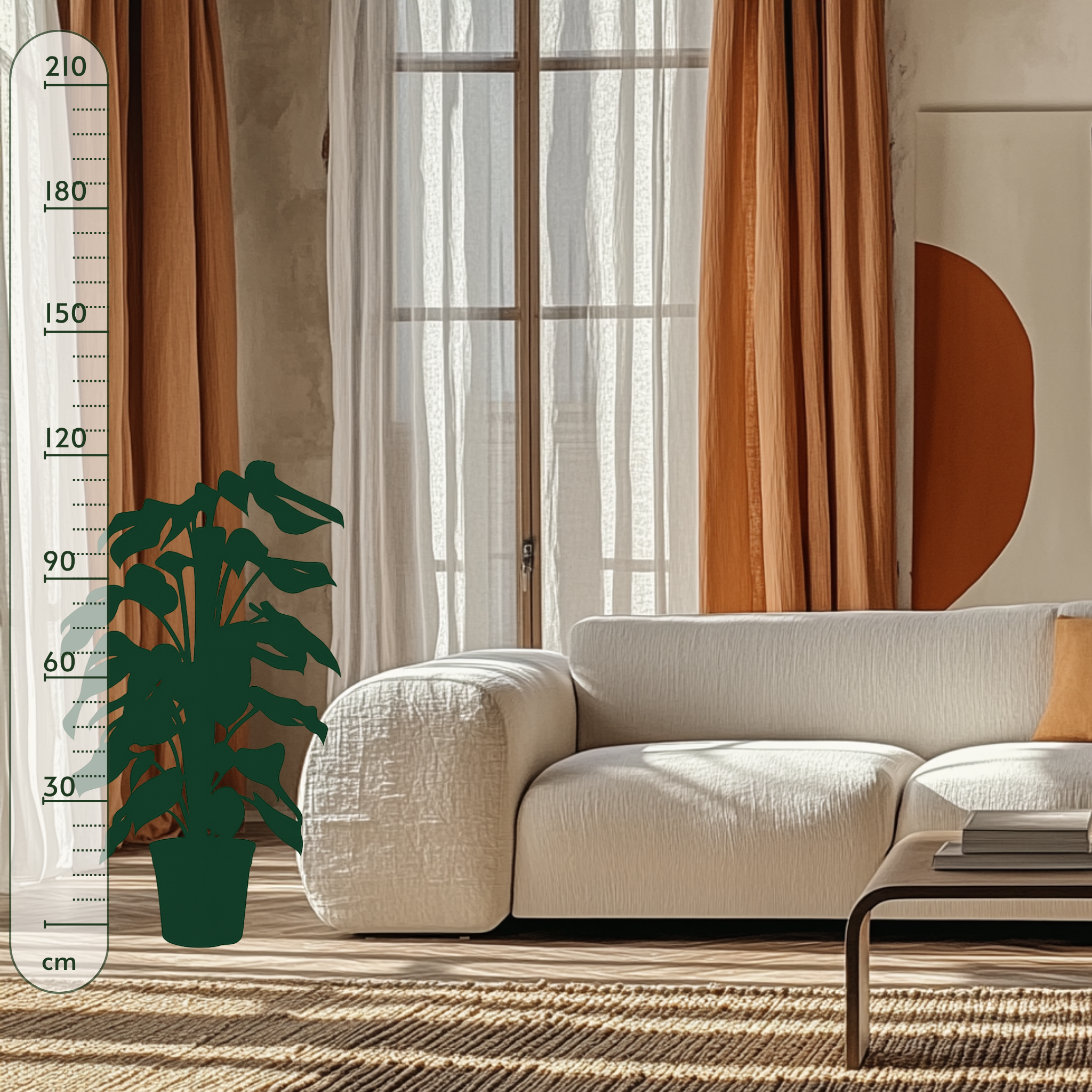 Fensterblatt – Monstera pertusum - 120 cm - ø24 - Luna's Leaf Co. 