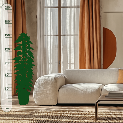 Goldene Efeutute mit Rankgitter – Epipremnum aureum - 160 cm - ø27 - Luna's Leaf Co. 